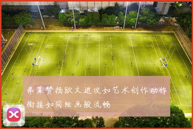 弗莱赞扬欧文进攻如艺术创作动作衔接如同绘画般流畅