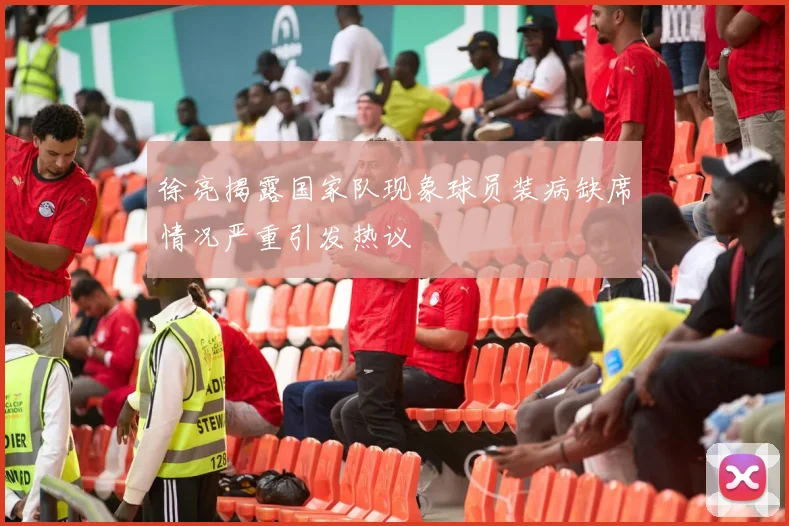 徐亮揭露国家队现象球员装病缺席情况严重引发热议