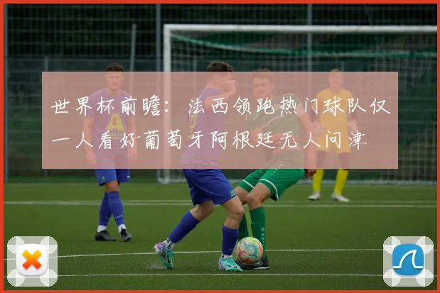 世界杯前瞻：法西领跑热门球队仅一人看好葡萄牙阿根廷无人问津